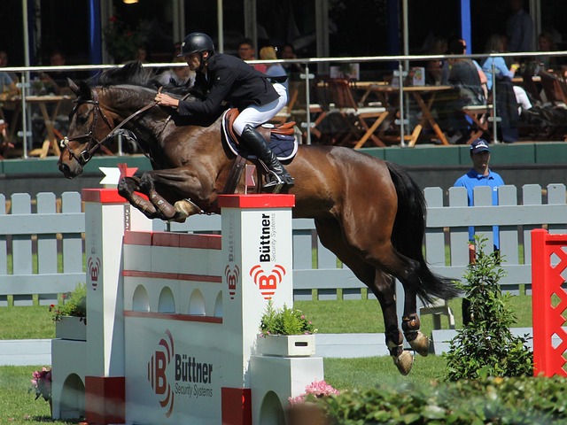 灰熊的危机 灰熊的危机