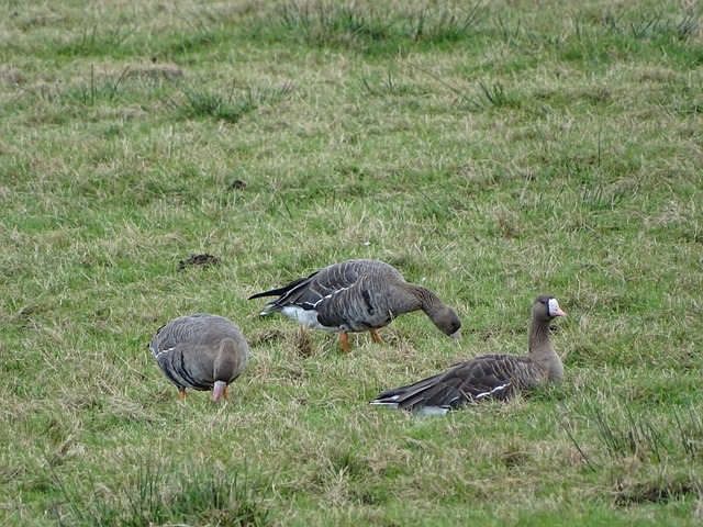 志至关重要 志至关重要