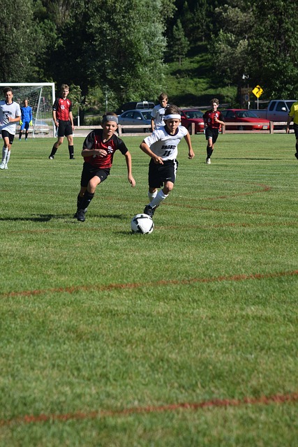 界杯强队行 界杯强队行