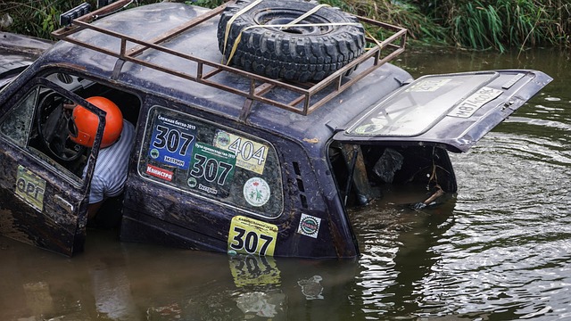 他们在比赛 他们在比赛