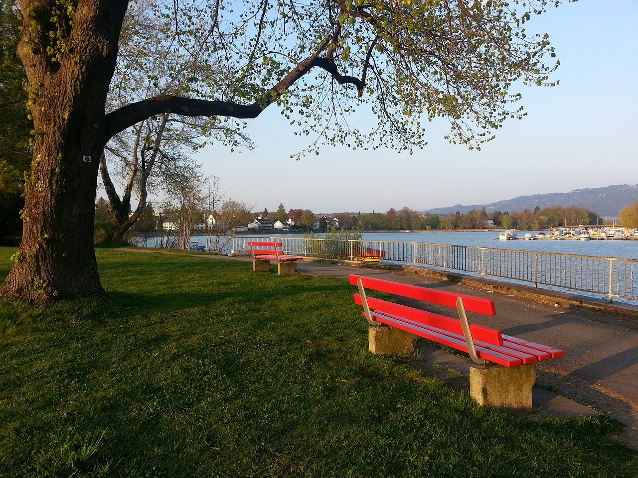 想的巅峰 想的巅峰