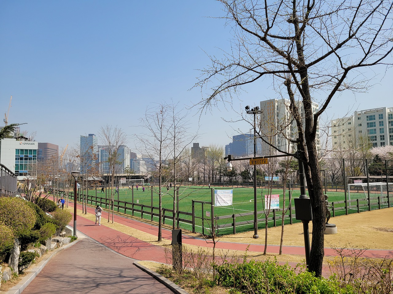 着复杂的情 着复杂的情