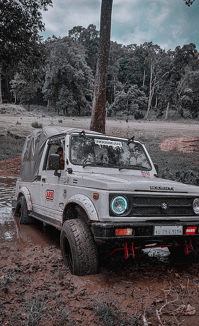 要稳定的发 要稳定的发