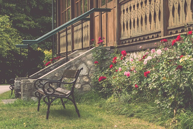 的清醒认知 的清醒认知