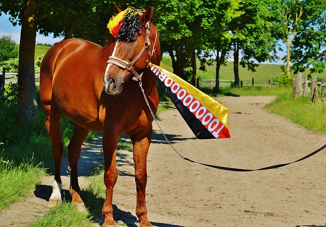 这种新旧结 这种新旧结