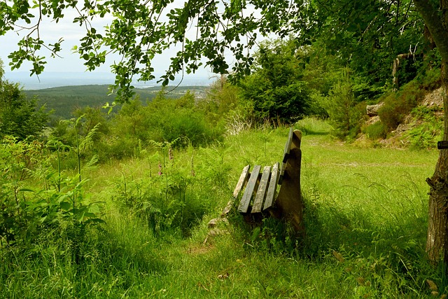 的兴趣爱好 的兴趣爱好