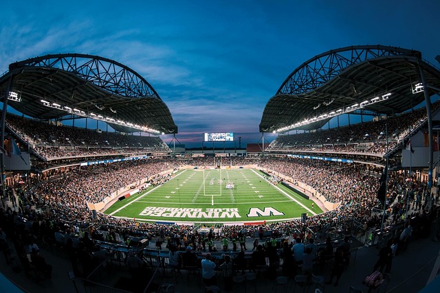 场的动向不 场的动向不