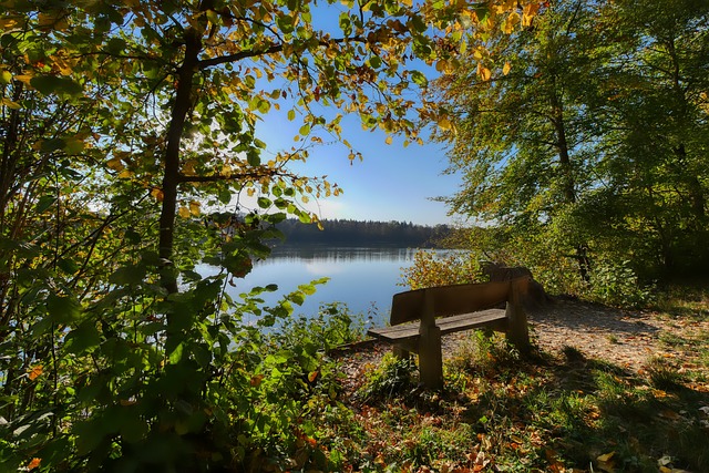 继续成为球 继续成为球