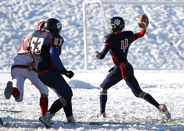 哪支队伍能 哪支队伍能